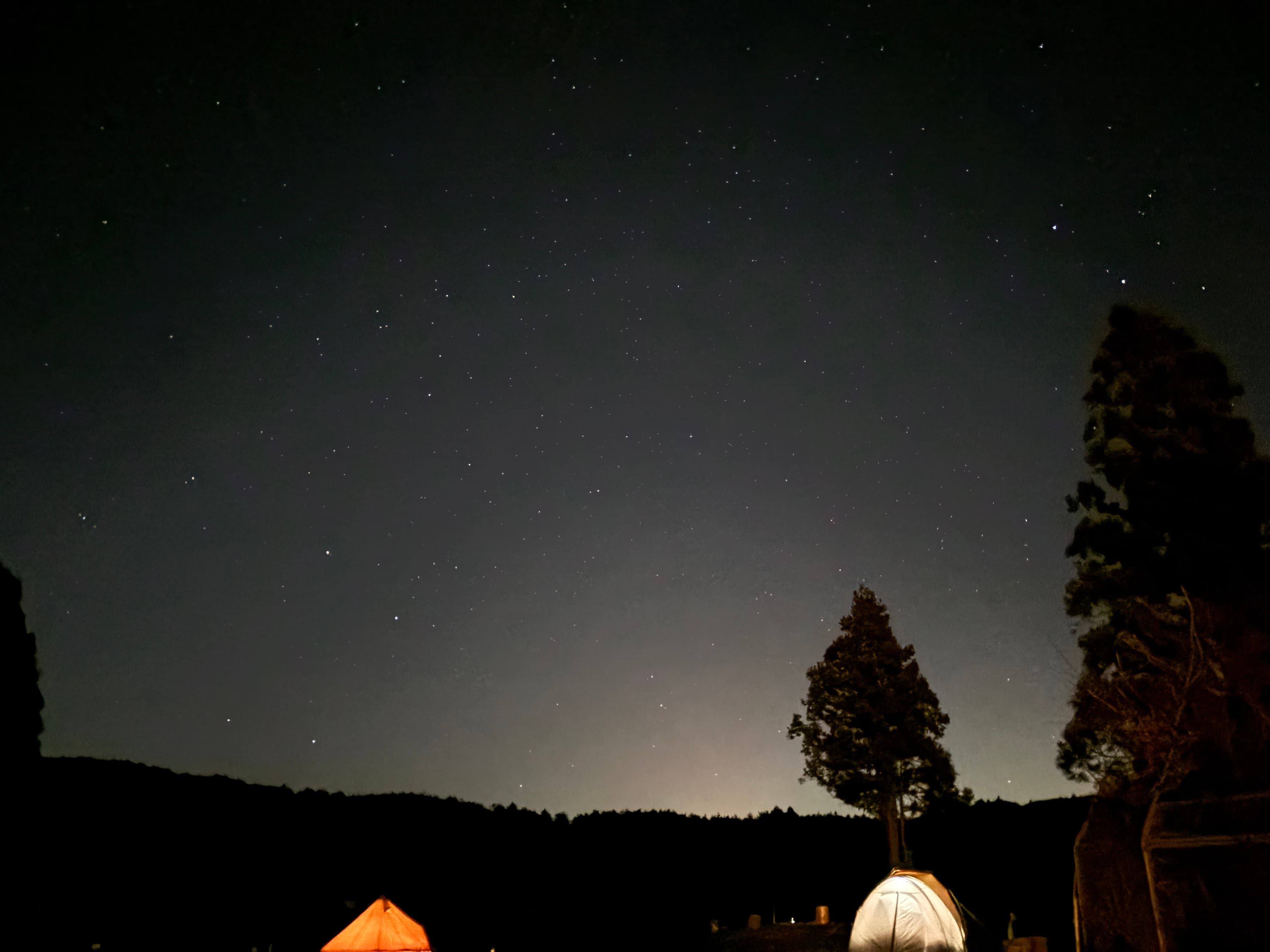 a night sky in the mountains surrounded by trees. two camping tents are lit with lights from inside.
